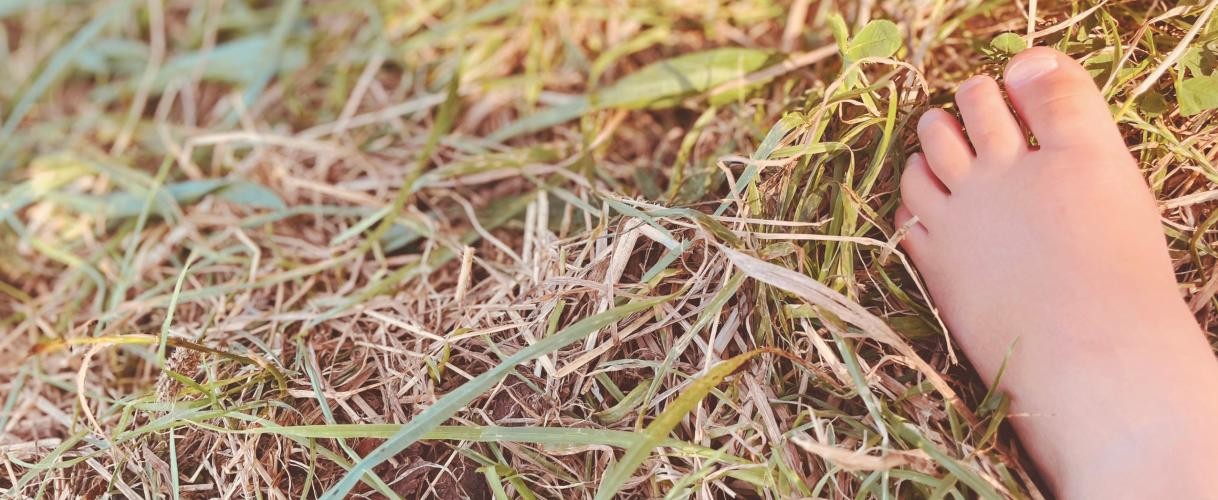 Ein nacktes Kinderfüßchen auf einer grünen Wiese