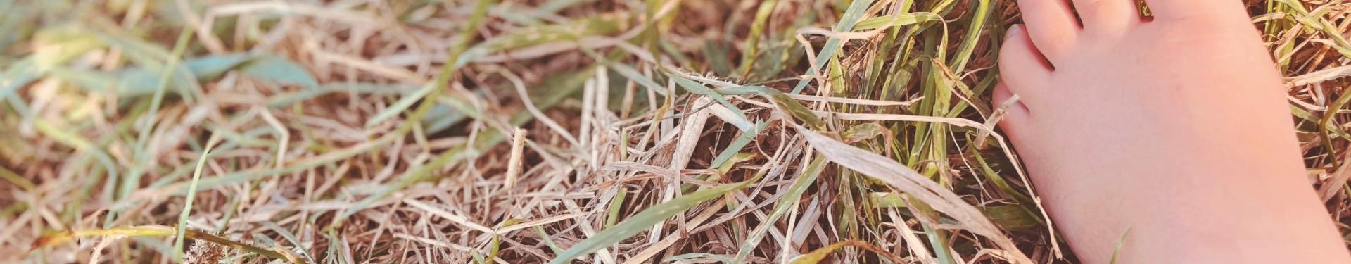 Kinderfuß auf grüner Wiese